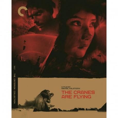 The Cranes are Flying (The Criterion Collection) [Blu-ray]
