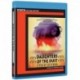 Daughters of the Dust [Blu-ray]