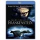 Mary Shelley's Frankenstein [Blu-ray]