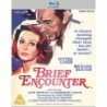 Brief Encounter [Blu-ray]