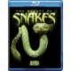 The Beauty of Snakes [Blu-ray]