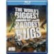 The World's Biggest and Baddest Bugs [Blu-ray]
