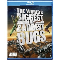 The World's Biggest and Baddest Bugs [Blu-ray]