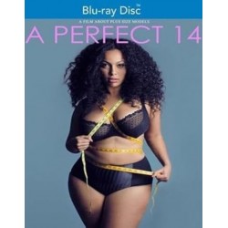 A Perfect 14 [Blu-ray]