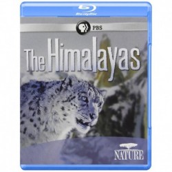 Nature: The Himalayas