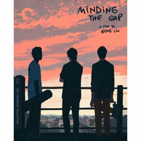 Minding the Gap (The Criterion Collection) [Blu-ray]