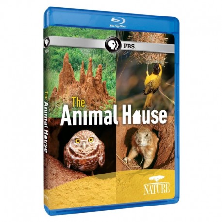 Nature: The Animal House