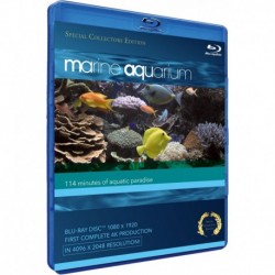 Marine Aquarium