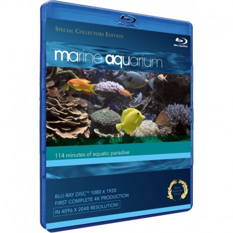 Marine Aquarium