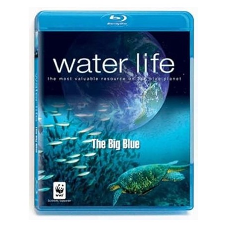 Water Life: The Big Blue