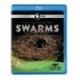 Nature: The Gathering of Swarms [Blu-ray]