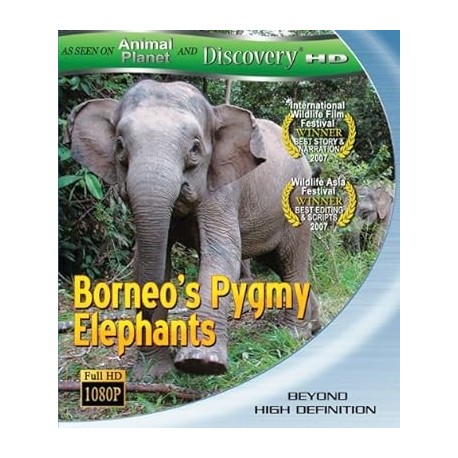 Borneo's Pygmy Elephants [Blu-ray]