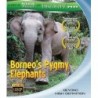 Borneo's Pygmy Elephants [Blu-ray]