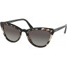 Sunglasses Prada PR01VS 3980A7 Brown/Black Cats Eyes Lens Categor