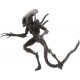 Action Figure NECA Aliens 7" Scale Action Series 14 Alien Re