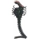 Action Figure NECA Aliens 7" Scale Action Series 13 Snake